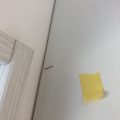 玄関建具の小傷補修